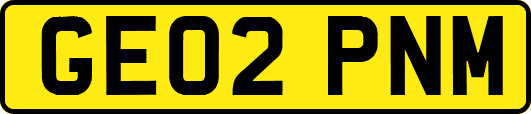 GE02PNM