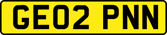 GE02PNN