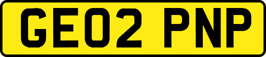 GE02PNP