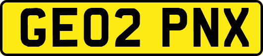 GE02PNX