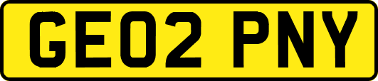 GE02PNY