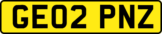 GE02PNZ