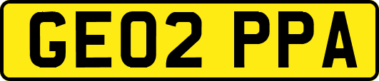 GE02PPA