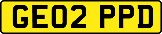 GE02PPD