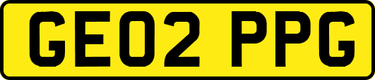 GE02PPG