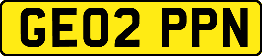 GE02PPN