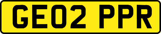 GE02PPR