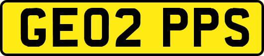 GE02PPS