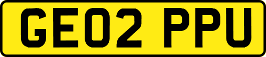 GE02PPU