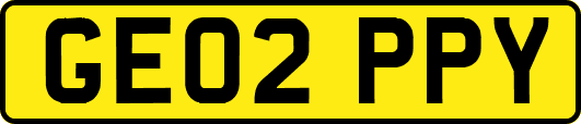 GE02PPY