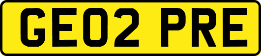 GE02PRE