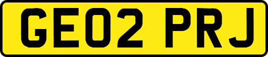 GE02PRJ