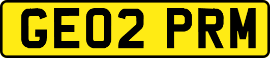 GE02PRM