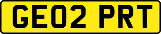 GE02PRT