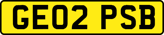 GE02PSB