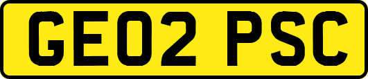 GE02PSC