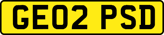 GE02PSD
