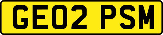 GE02PSM
