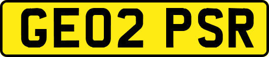 GE02PSR
