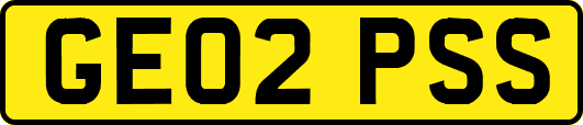 GE02PSS