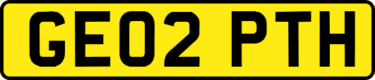 GE02PTH