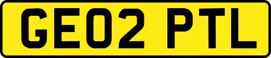 GE02PTL