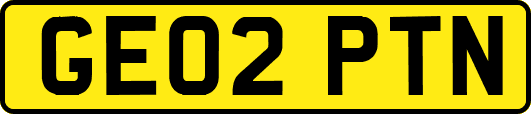 GE02PTN