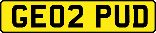 GE02PUD