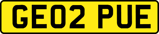 GE02PUE