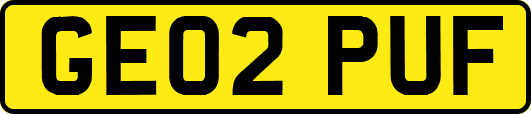 GE02PUF