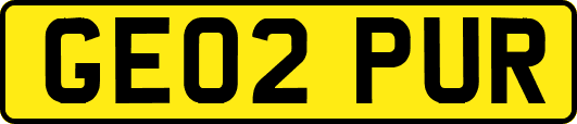 GE02PUR