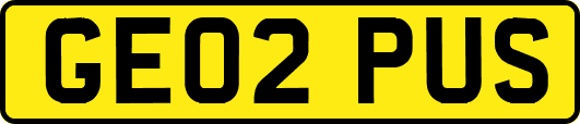 GE02PUS