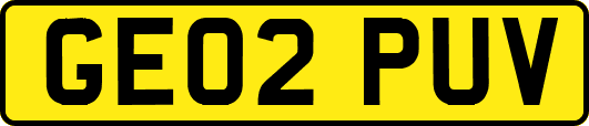GE02PUV