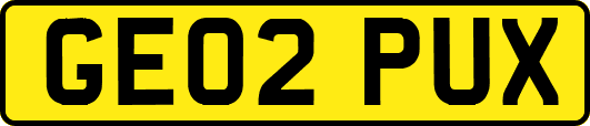 GE02PUX