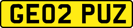 GE02PUZ