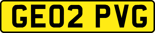 GE02PVG