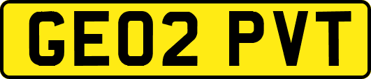 GE02PVT