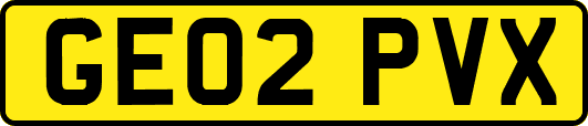 GE02PVX