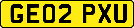 GE02PXU
