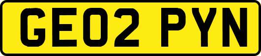 GE02PYN