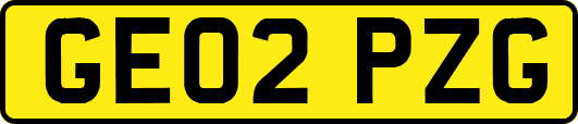 GE02PZG