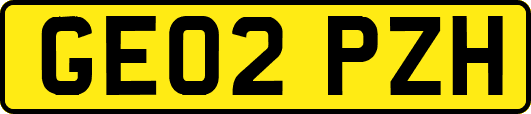 GE02PZH