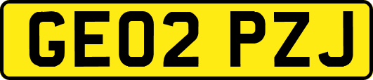GE02PZJ