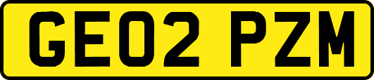 GE02PZM