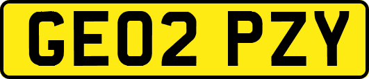 GE02PZY