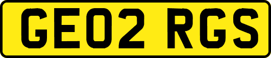 GE02RGS