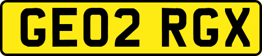 GE02RGX