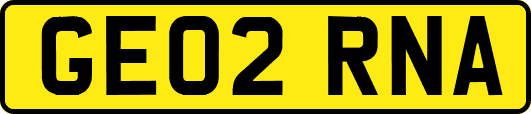 GE02RNA