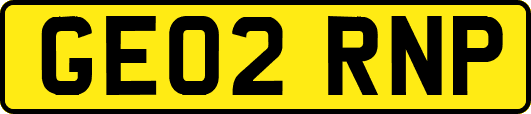 GE02RNP