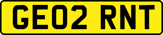 GE02RNT